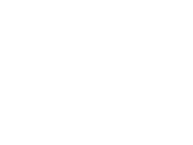 Flickr Icon